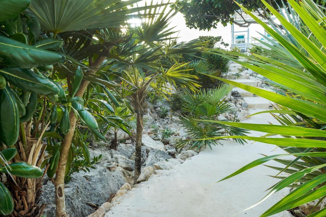Modern Cottage With Chalk Sound Views Providenciales Eksteriør bilde